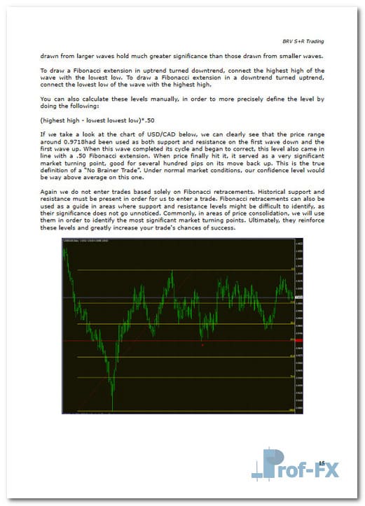 BRV Trading System Rules 6 BRV Trading System Rules.pdf
