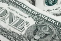Dollar-bank-notes Dollar bank notes
