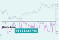 How Trade WilliamsR How Trade Williams'R
