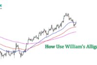 How Use William’s Alligator How Use William’s Alligator