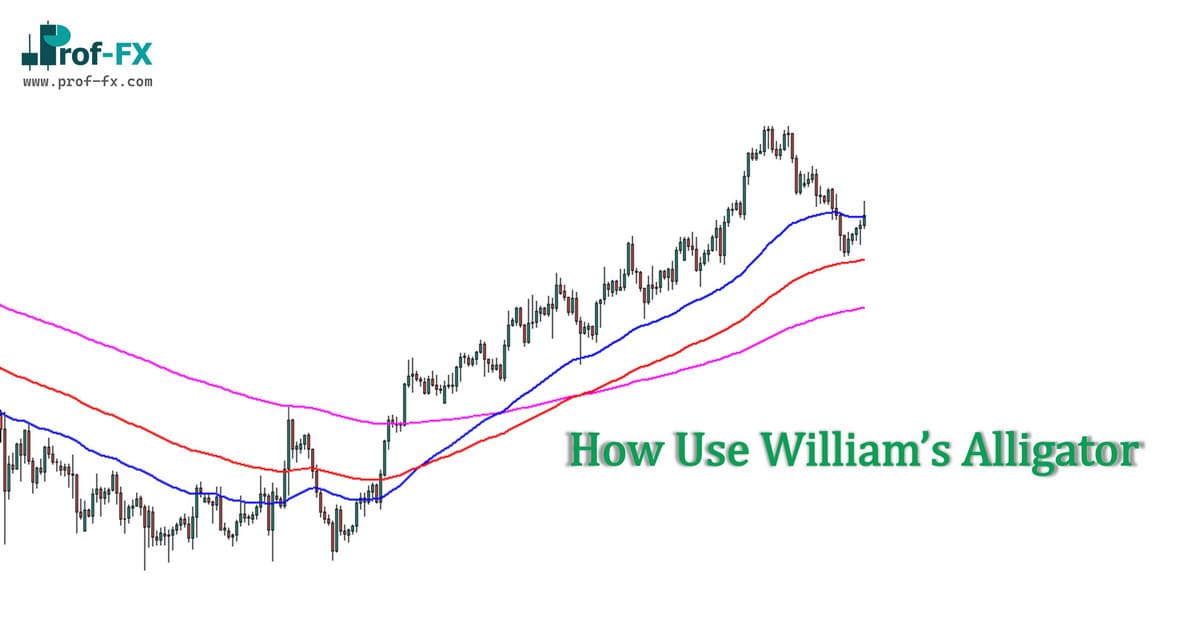 How Use William’s Alligator How Use William’s Alligator