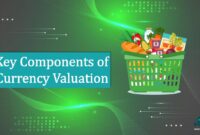 Key Components of Currency Valuation Key Components of Currency Valuation