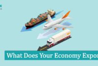 What Does Your Economy Export What Does Your Economy Export