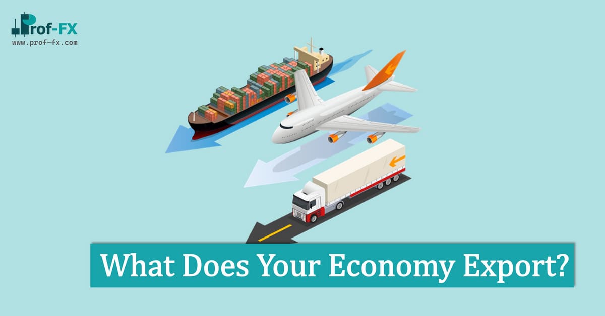 What Does Your Economy Export What Does Your Economy Export