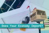 What Does Your Economy Import What Does Your Economy Import