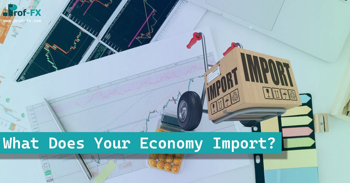 What Does Your Economy Import What Does Your Economy Import