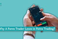 Why A Forex Trader Loses in Forex Trading Why A Forex Trader Loses in Forex Trading