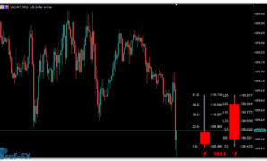 FiboPivotCandleBar-2 FiboPivotCandleBar mt5 indicator