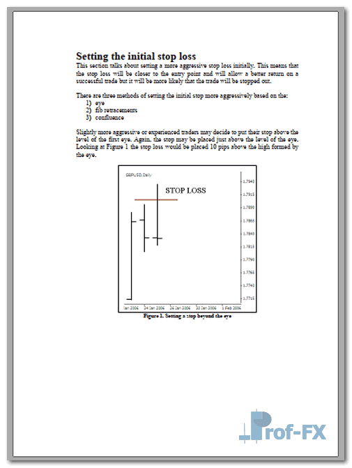 Pin Bars Advanced.pdf