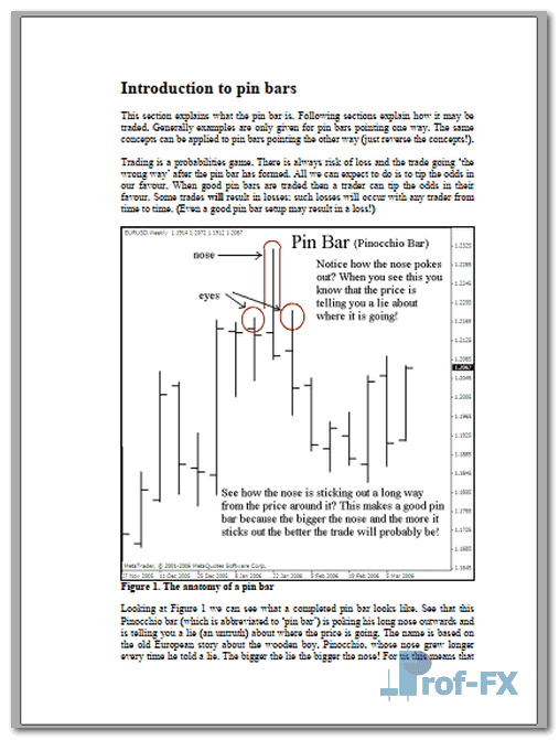 Pinbar Introduction 2 Pin Bars Introduction.pdf