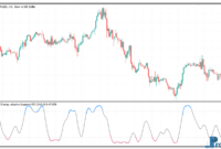 time-fractal-energy-adaptive-1 Fractal Energy Adaptive Laguerre RSI mt5 indicator